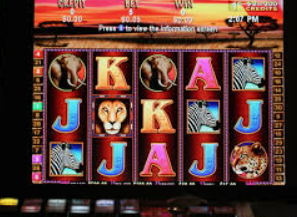 im电竞APP下载最新版